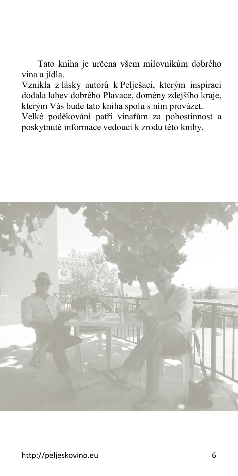 Strana 6: Úvod