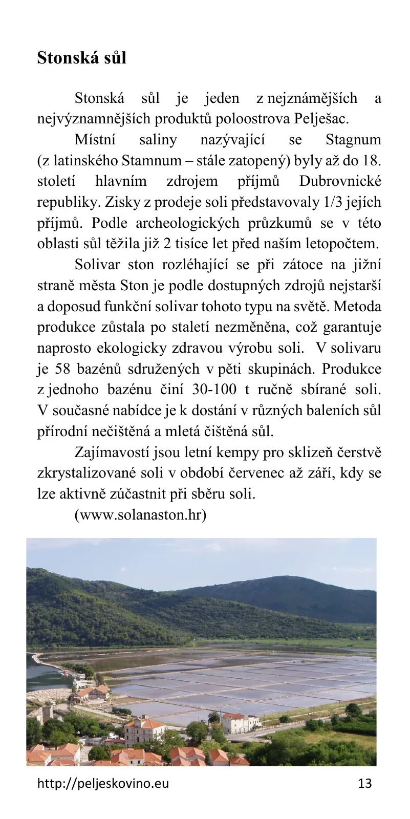 Strana 13: Sůl
