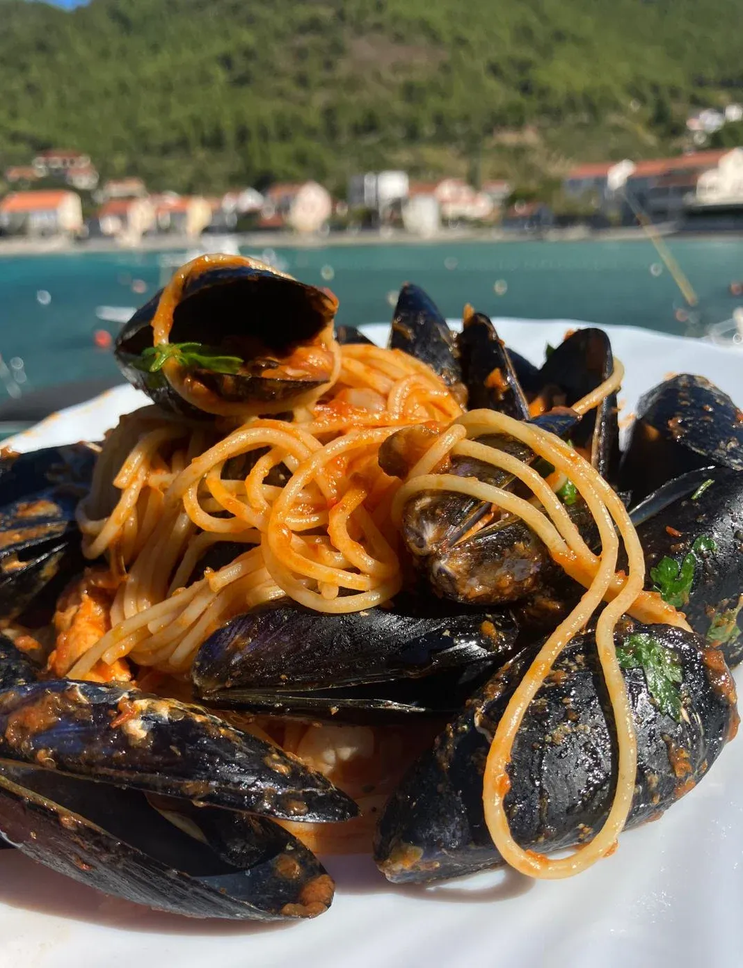 A plate of spaghetti with mussels in a tomato sauce, a bay with boats and houses behind.